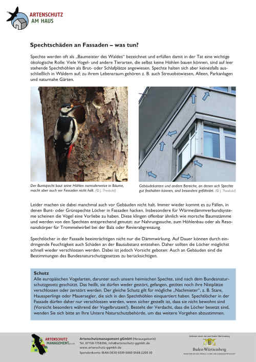 Screenshot des Infoblatts "Spechtschäden an Fassaden – was tun?"